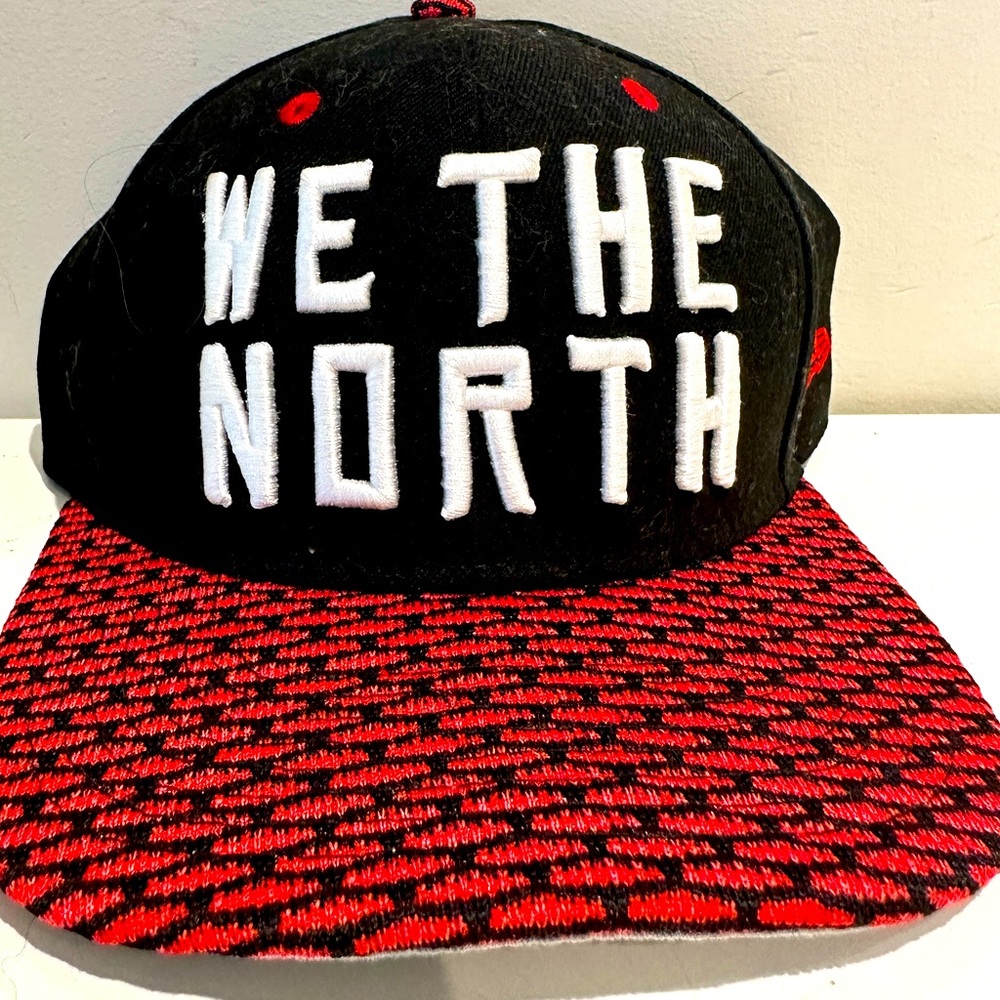 Flat Brim Hat— Toronto Raptors | We The North